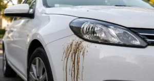 How to remove tree sap from car paint using a microfiber towel and cleaner